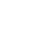 Invoice Icon